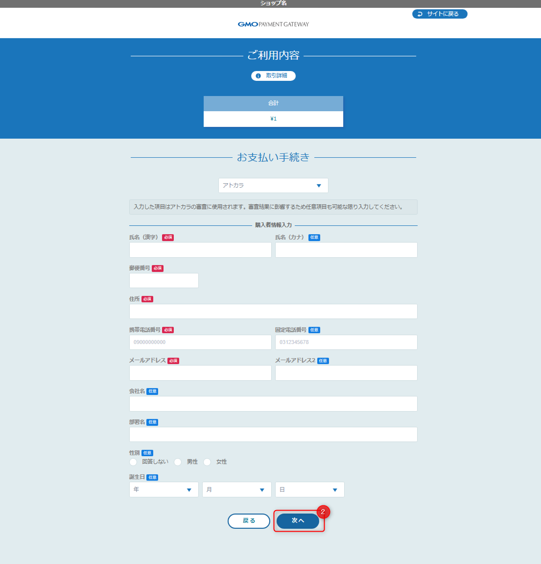 リンクタイプ Plusアトカラ_決済入力画面のスクリーンショット