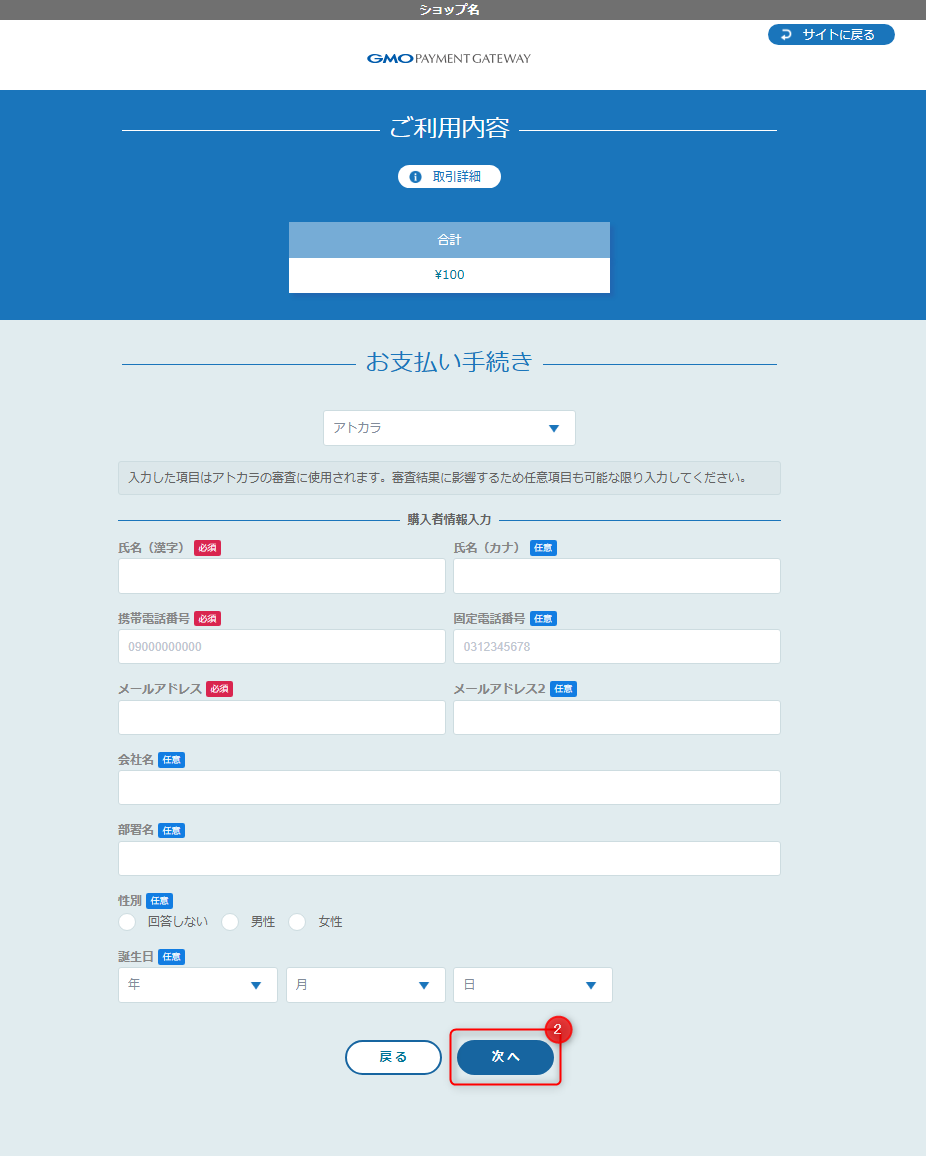 リンクタイプ Plusアトカラ_決済入力画面②のスクリーンショット