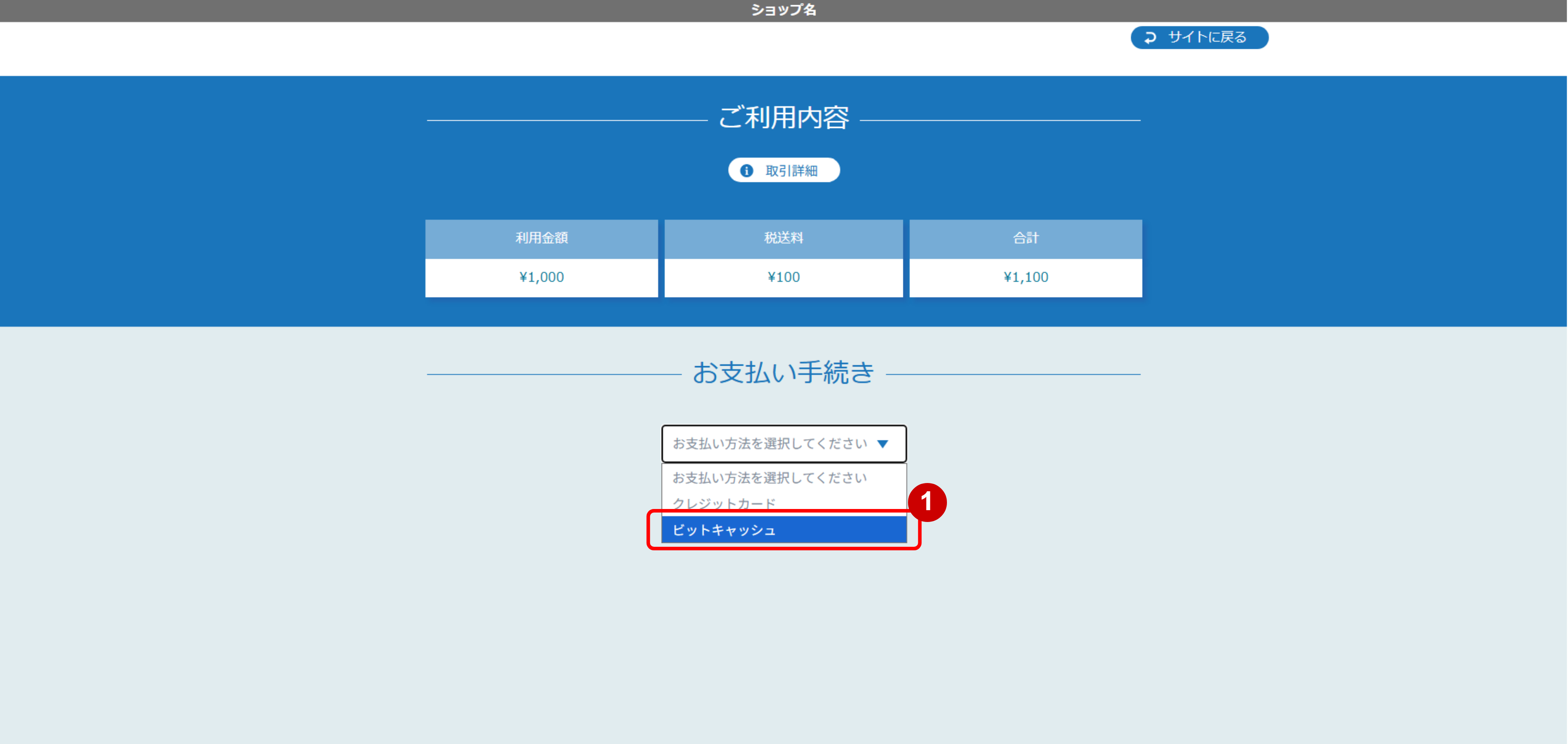 リンクタイプ Plusビットキャッシュ決済_決済選択画面のスクリーンショット